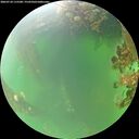 ./images/calvert/underwater/20260718/underwater20260718_115501M.jpg