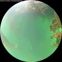 ./images/calvert/underwater/20260718/underwater20260718_130501M.jpg