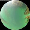 ./images/calvert/underwater/20260718/underwater20260718_131001M.jpg