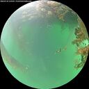 ./images/calvert/underwater/20260718/underwater20260718_133501M.jpg