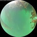 ./images/calvert/underwater/20260718/underwater20260718_134001M.jpg