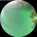 ./images/calvert/underwater/20260718/underwater20260718_135001M.jpg