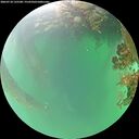 ./images/calvert/underwater/20260718/underwater20260718_135501M.jpg