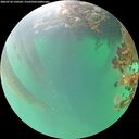 ./images/calvert/underwater/20260718/underwater20260718_150501M.jpg