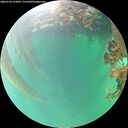 ./images/calvert/underwater/20260718/underwater20260718_153002M.jpg
