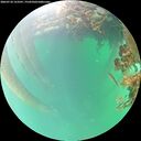 ./images/calvert/underwater/20260718/underwater20260718_153501M.jpg