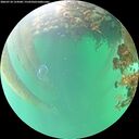 ./images/calvert/underwater/20260718/underwater20260718_154501M.jpg