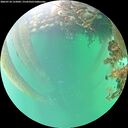 ./images/calvert/underwater/20260718/underwater20260718_155001M.jpg