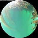 ./images/calvert/underwater/20260718/underwater20260718_155501M.jpg