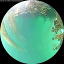 ./images/calvert/underwater/20260718/underwater20260718_160001M.jpg