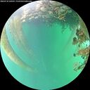 ./images/calvert/underwater/20260718/underwater20260718_160501M.jpg