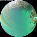 ./images/calvert/underwater/20260718/underwater20260718_161001M.jpg