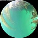 ./images/calvert/underwater/20260718/underwater20260718_161501M.jpg
