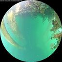 ./images/calvert/underwater/20260718/underwater20260718_162001M.jpg