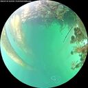 ./images/calvert/underwater/20260718/underwater20260718_162501M.jpg
