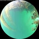 ./images/calvert/underwater/20260718/underwater20260718_165001M.jpg