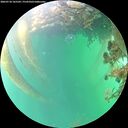 ./images/calvert/underwater/20260718/underwater20260718_165501M.jpg