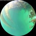 ./images/calvert/underwater/20260718/underwater20260718_170001M.jpg
