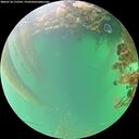 ./images/calvert/underwater/20260718/underwater20260718_172501M.jpg
