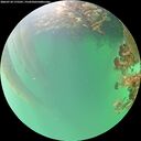 ./images/calvert/underwater/20260718/underwater20260718_175501M.jpg