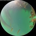 ./images/calvert/underwater/20260718/underwater20260718_195002M.jpg