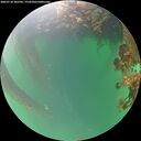 ./images/calvert/underwater/20260718/underwater20260718_202502M.jpg