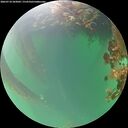 ./images/calvert/underwater/20260718/underwater20260718_203001M.jpg