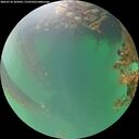./images/calvert/underwater/20260718/underwater20260718_205002M.jpg