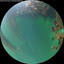 ./images/calvert/underwater/20260718/underwater20260718_211501M.jpg