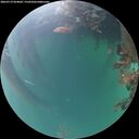 ./images/calvert/underwater/20260719/underwater20260719_054002M.jpg