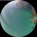 ./images/calvert/underwater/20260719/underwater20260719_055001M.jpg