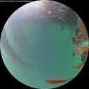 ./images/calvert/underwater/20260719/underwater20260719_055501M.jpg