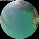 ./images/calvert/underwater/20260719/underwater20260719_060501M.jpg