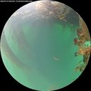 ./images/calvert/underwater/20260719/underwater20260719_062501M.jpg