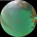 ./images/calvert/underwater/20260719/underwater20260719_071002M.jpg