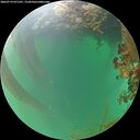 ./images/calvert/underwater/20260719/underwater20260719_071501M.jpg