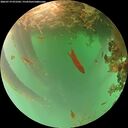 ./images/calvert/underwater/20260719/underwater20260719_072501M.jpg