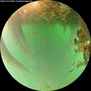 ./images/calvert/underwater/20260719/underwater20260719_074001M.jpg
