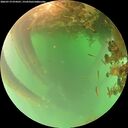 ./images/calvert/underwater/20260719/underwater20260719_074501M.jpg