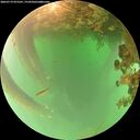 ./images/calvert/underwater/20260719/underwater20260719_075501M.jpg