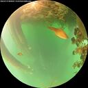 ./images/calvert/underwater/20260719/underwater20260719_080001M.jpg