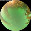 ./images/calvert/underwater/20260719/underwater20260719_080501M.jpg