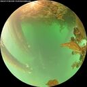 ./images/calvert/underwater/20260719/underwater20260719_081501M.jpg