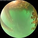 ./images/calvert/underwater/20260719/underwater20260719_082001M.jpg