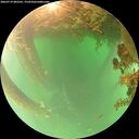 ./images/calvert/underwater/20260719/underwater20260719_082501M.jpg