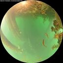 ./images/calvert/underwater/20260719/underwater20260719_083001M.jpg