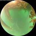 ./images/calvert/underwater/20260719/underwater20260719_083502M.jpg