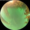 ./images/calvert/underwater/20260719/underwater20260719_084001M.jpg