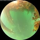 ./images/calvert/underwater/20260719/underwater20260719_084502M.jpg