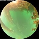./images/calvert/underwater/20260719/underwater20260719_085001M.jpg